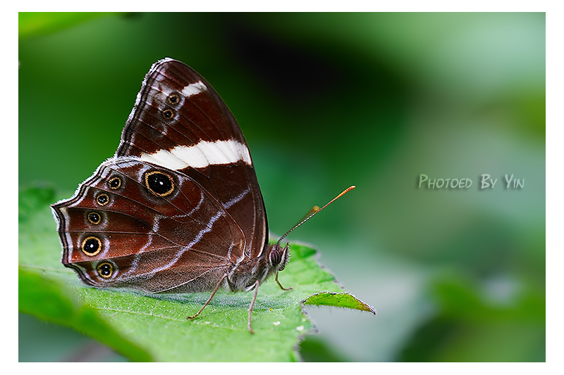 CRW_0087