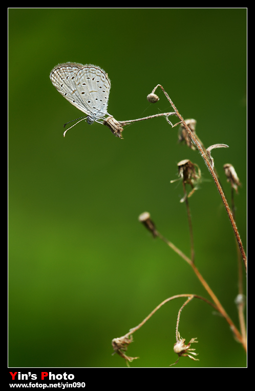 IMG_3795