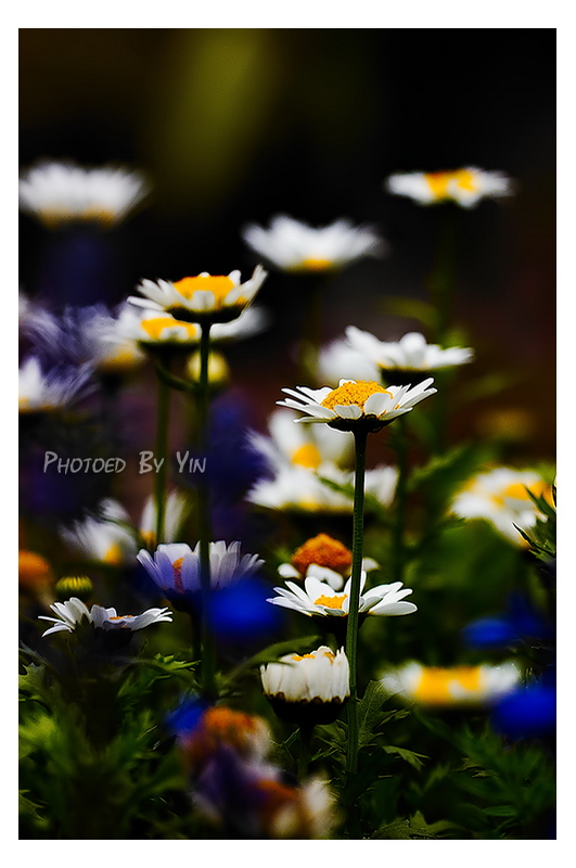 CRW_9758