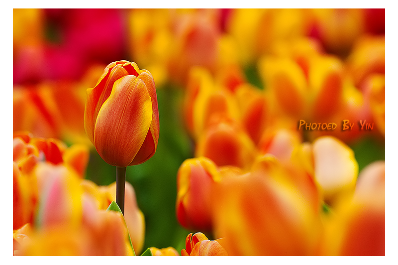 CRW_9846